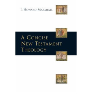 A Concise New Testament Theology 