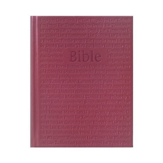 Bible ČEP DT, rodinná 1251